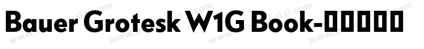 Bauer Grotesk W1G Book字体转换